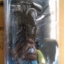 neca-aliens-s07-avp-warrior-alien-000