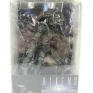 Neca-AVP-2-Aliens-Warrior-001