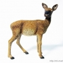 CollectA-88470-Red-Deer-Hind-001