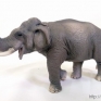 CollectA-88486-Asian-Elephant-001