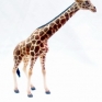 CollectA-88534-Reticulated-Giraffe-001