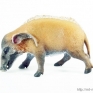 collecta-88554-red-river-hog-001