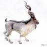 CollectA-88641-Markhor-Middle-Eastern-Wild-Goat-001