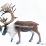 CollectA-88709-Woodland-Caribou-Reindeer-001