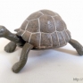 Papo-50013-Tortoise-001