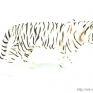 papo-50045-white-tiger-001