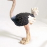 Papo-50073-Ostrich-001