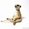 Papo-50099-3-Meerkats-002