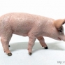 Papo-51137-Male-Piglet-001