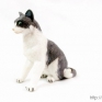 Papo-54033-Sitting-Grey-and-White-Cat-001