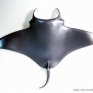 Papo-56006-Manta-Ray-001