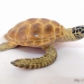 Safari-Ltd-2202-29-Loggerhead-Turtle-001