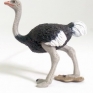 Safari-Ltd-2261-29-Ostrich-001