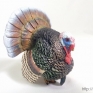 Safari-Ltd-2429-29-Domestic-Male-Turkey-001