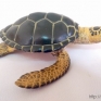 Safari-Ltd-2743-29-Green-Sea-Turtle-001