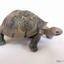 Safari-Ltd-2953-29-Desert-Tortoise-001