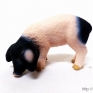 Schleich-13635-Swabian-Hall-Piglet-Eating-001