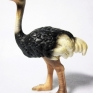 Schleich-14325-Ostrich-001