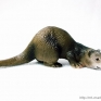 Schleich-14418-Ferret-001