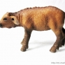 Schleich-14641-African-Buffalo-Calf-001