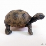 Schleich-14643-Giant-Tortoise-Young-001