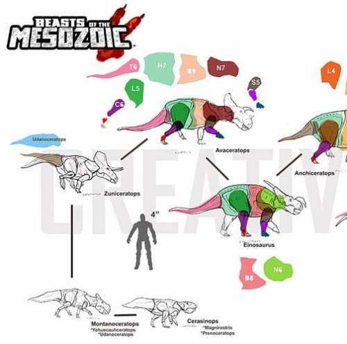 beasts-of-the-mesozoic-ceratopsian-series-006