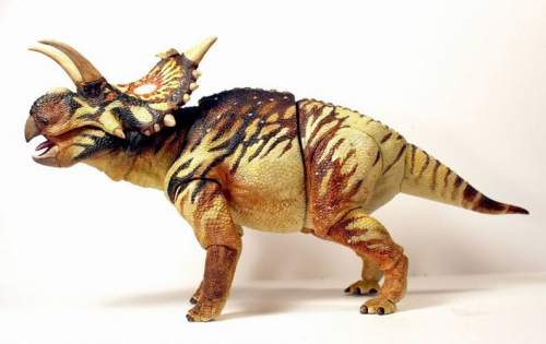beasts-of-the-mesozoic-ceratopsian-series-xenoceratops-foremostensis-024