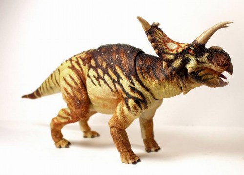 beasts-of-the-mesozoic-ceratopsian-series-xenoceratops-foremostensis-025