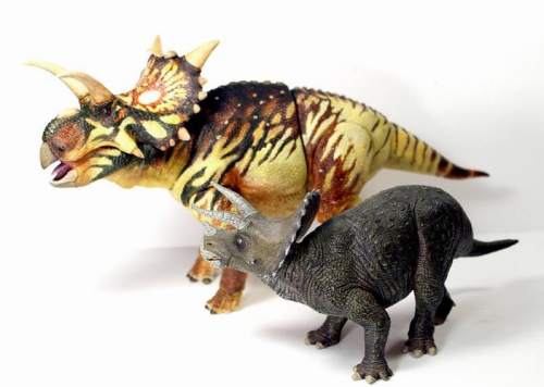 beasts-of-the-mesozoic-ceratopsian-series-xenoceratops-foremostensis-028