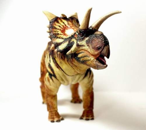 beasts-of-the-mesozoic-ceratopsian-series-xenoceratops-foremostensis-029