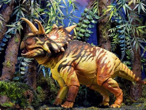 beasts-of-the-mesozoic-ceratopsian-series-xenoceratops-foremostensis-038