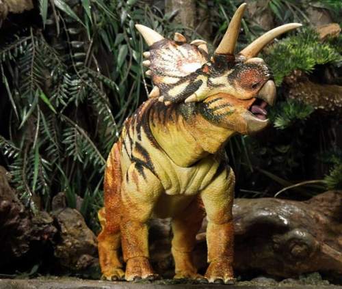 beasts-of-the-mesozoic-ceratopsian-series-xenoceratops-foremostensis-039