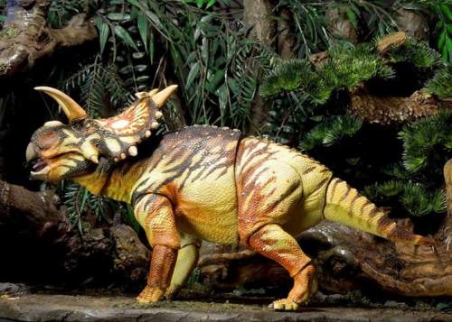 beasts-of-the-mesozoic-ceratopsian-series-xenoceratops-foremostensis-044