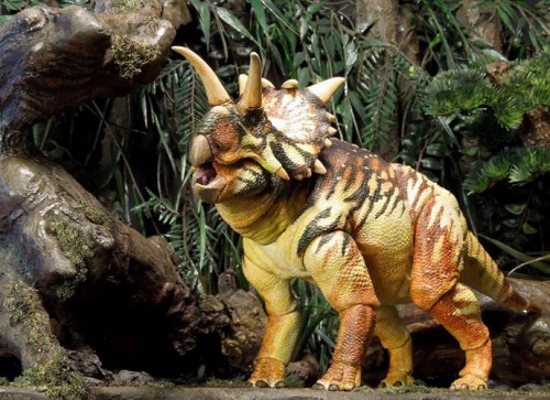 beasts-of-the-mesozoic-ceratopsian-series-xenoceratops-foremostensis-046