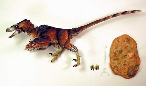 beasts-of-the-mesozoic-raptor-adasaurus-mongoliensis-002