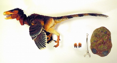 beasts-of-the-mesozoic-raptor-fans-choice-zhenyuanlong-suni-002