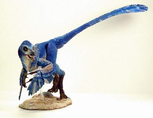 beasts-of-the-mesozoic-raptor-velociraptor-osmolskae-001