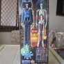 Banpresto-One-Piece-Grandline-Treasures-002-Skeleton-Specimen-000