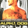 alpha-dog-001