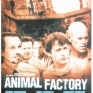 animal-factory-001