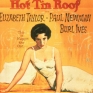 cat-on-a-hot-tin-roof-001