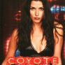coyote-ugly-007