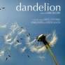 dandelion-001-001