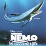 finding-nemo-016