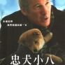 hachiko-a-dogs-story-001