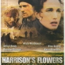 Harrisons-Flowers-001