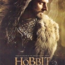 Hobbit-2-the-Desolation-of-Smaug-009