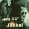 jackal-001