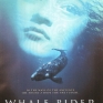 whale-rider-001