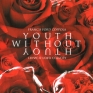 Youth without Youth-001